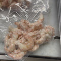Shrimp
