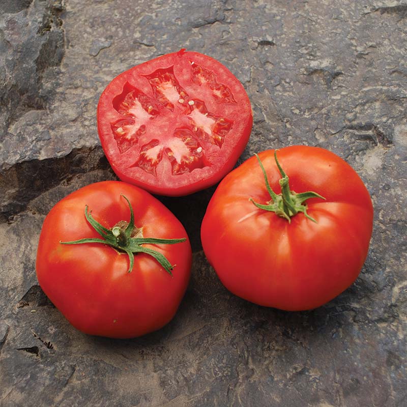 Tomatoes