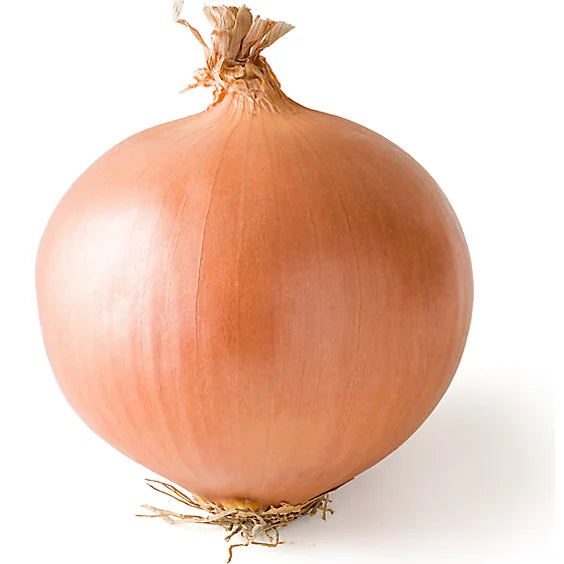 Onion Bag 5 lb